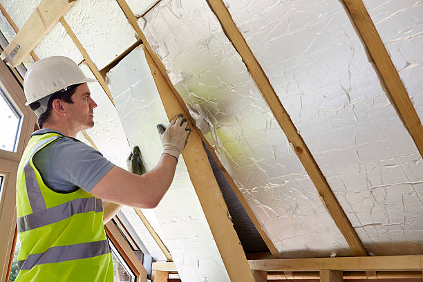 Best Specialized Insulation Services in Western Springs, IL